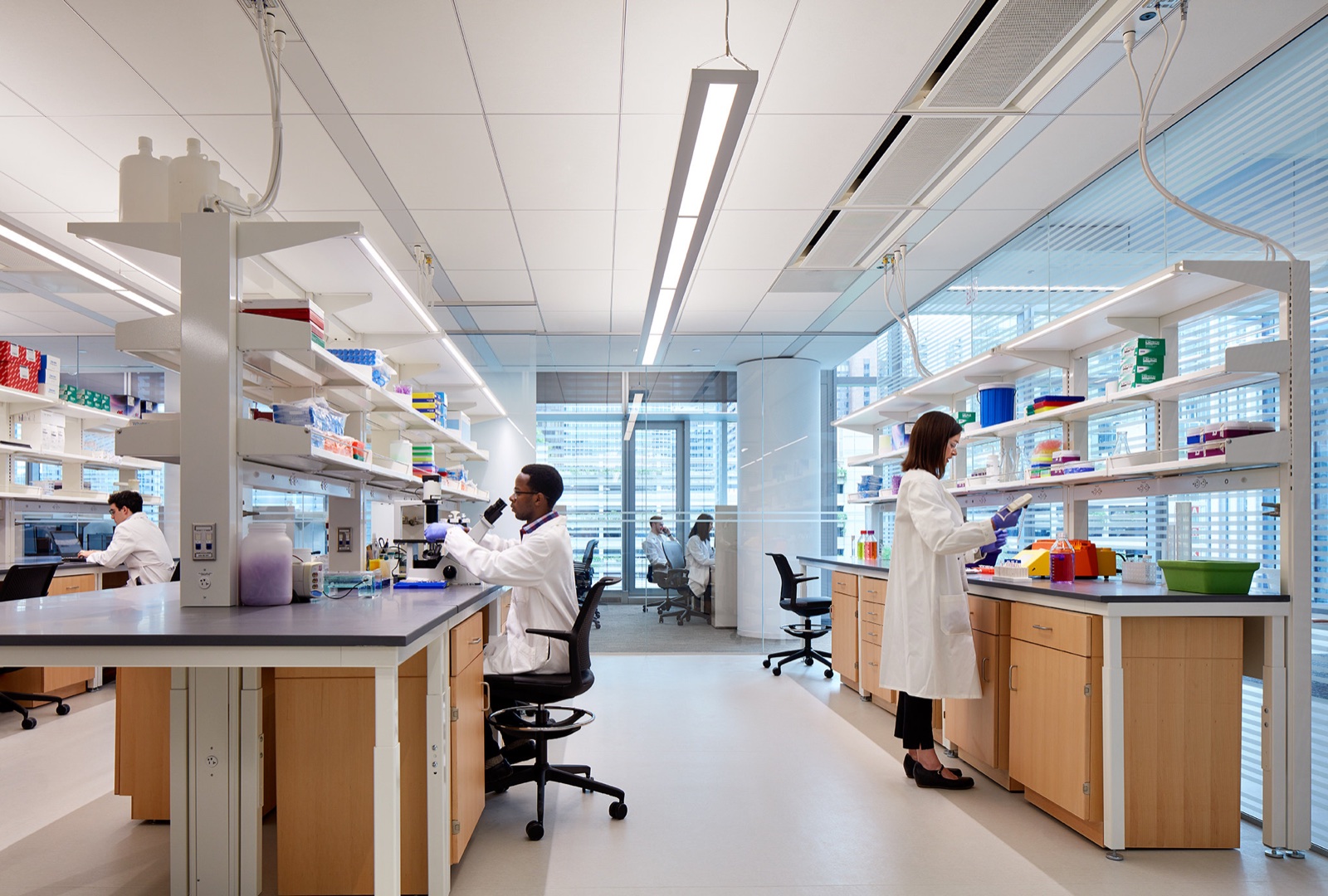Researchers working in a modern medical laboratory
